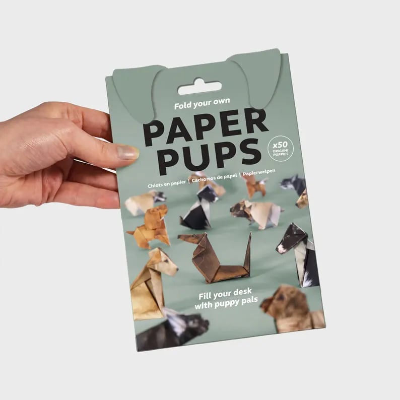 PaperPaws – Raj dla miłośników kotów i majsterkowania DIY