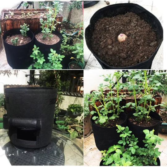 GrowForce — Fabric Grow Bags for Plants