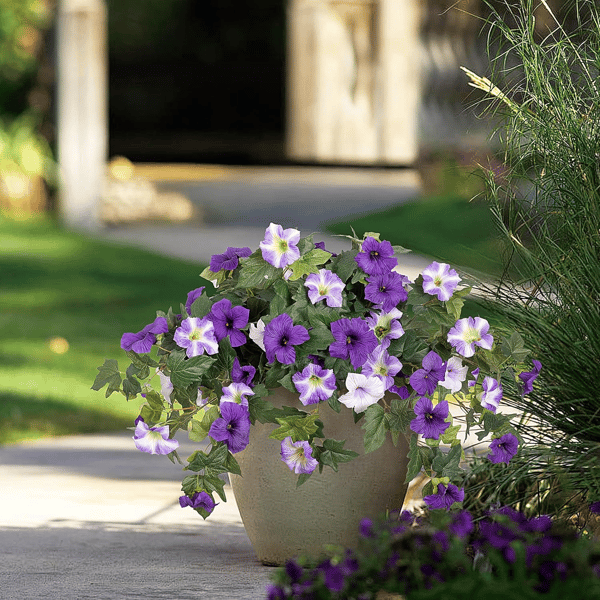 EverBloom - Artificial Petunia Hanging Basket