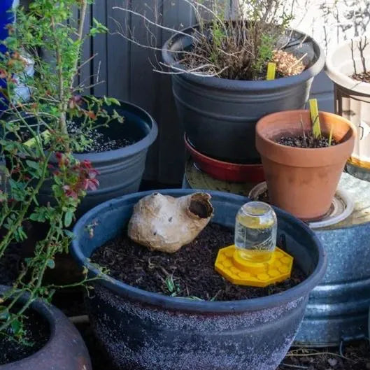 GlowNectar —Garden Pollinator Feeder for Bees and Beneficial Insects