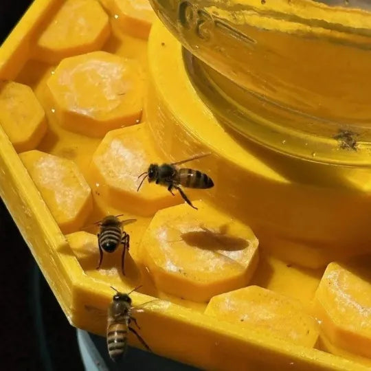 GlowNectar —Garden Pollinator Feeder for Bees and Beneficial Insects