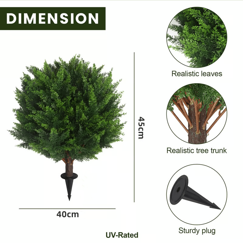 EverGreen Cedar Tree – Outdoor Decorative Potted Plant