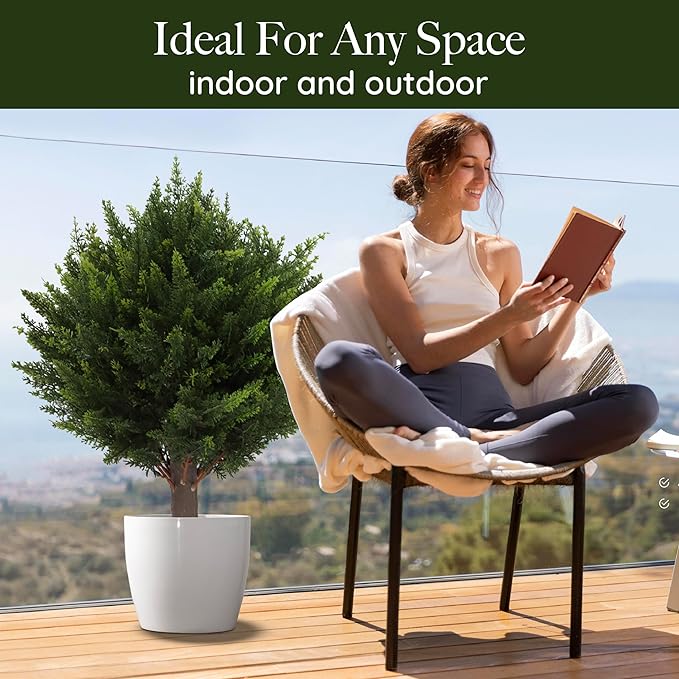 EverGreen Cedar Tree – Outdoor Decorative Potted Plant