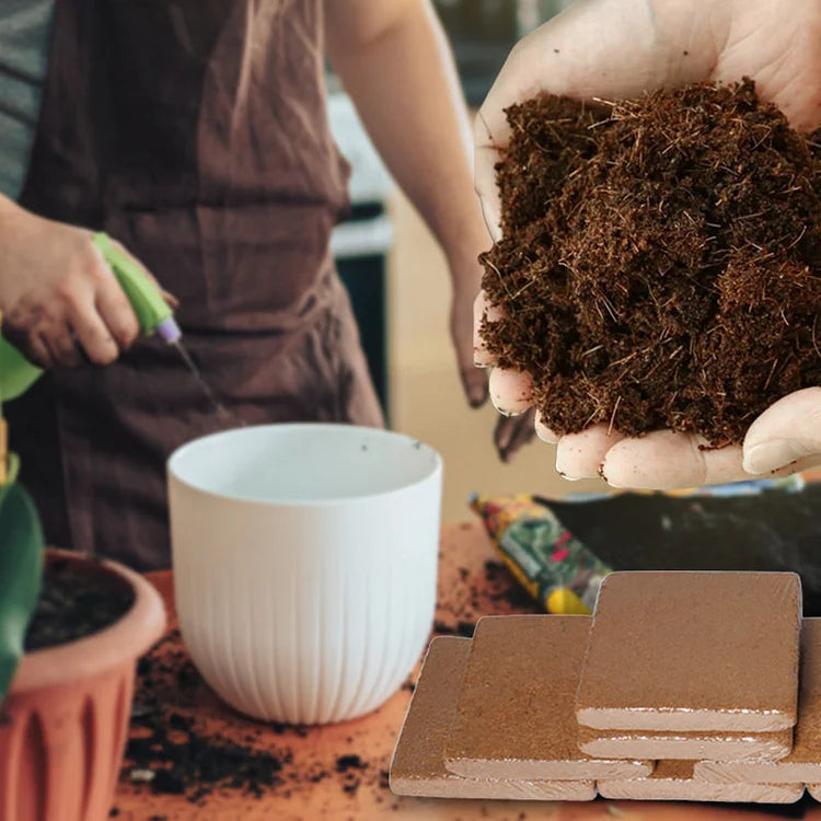 CocoBrick - Coconut Coir Growing Medium for Plants & Seedlings