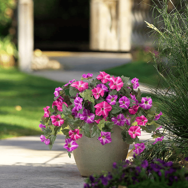 EverBloom - Artificial Petunia Hanging Basket