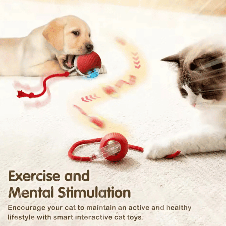 HunterOrb — Interaktiivinen liikkeestä aktivoituva lemmikin pyörivä leikkipallo