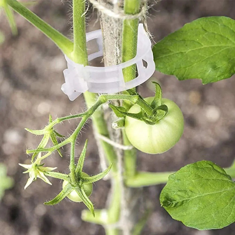 GardenGuard Clips — Reusable Plant Support Clips for Garden Stems and Vines