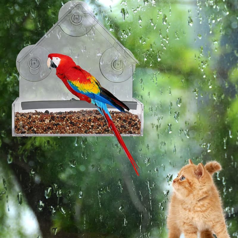 FeatherVibe — Hrănitor pentru păsări cu fereastră transparentă, cu prindere puternică cu ventuze