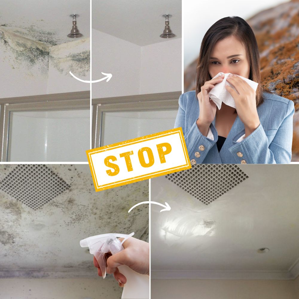 MoldDefy — Spray Removedor de Moho para Azulejos y Superficies de Baño