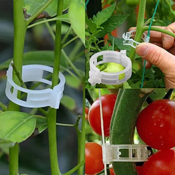 GardenGuard Clips — Reusable Plant Support Clips for Garden Stems and Vines