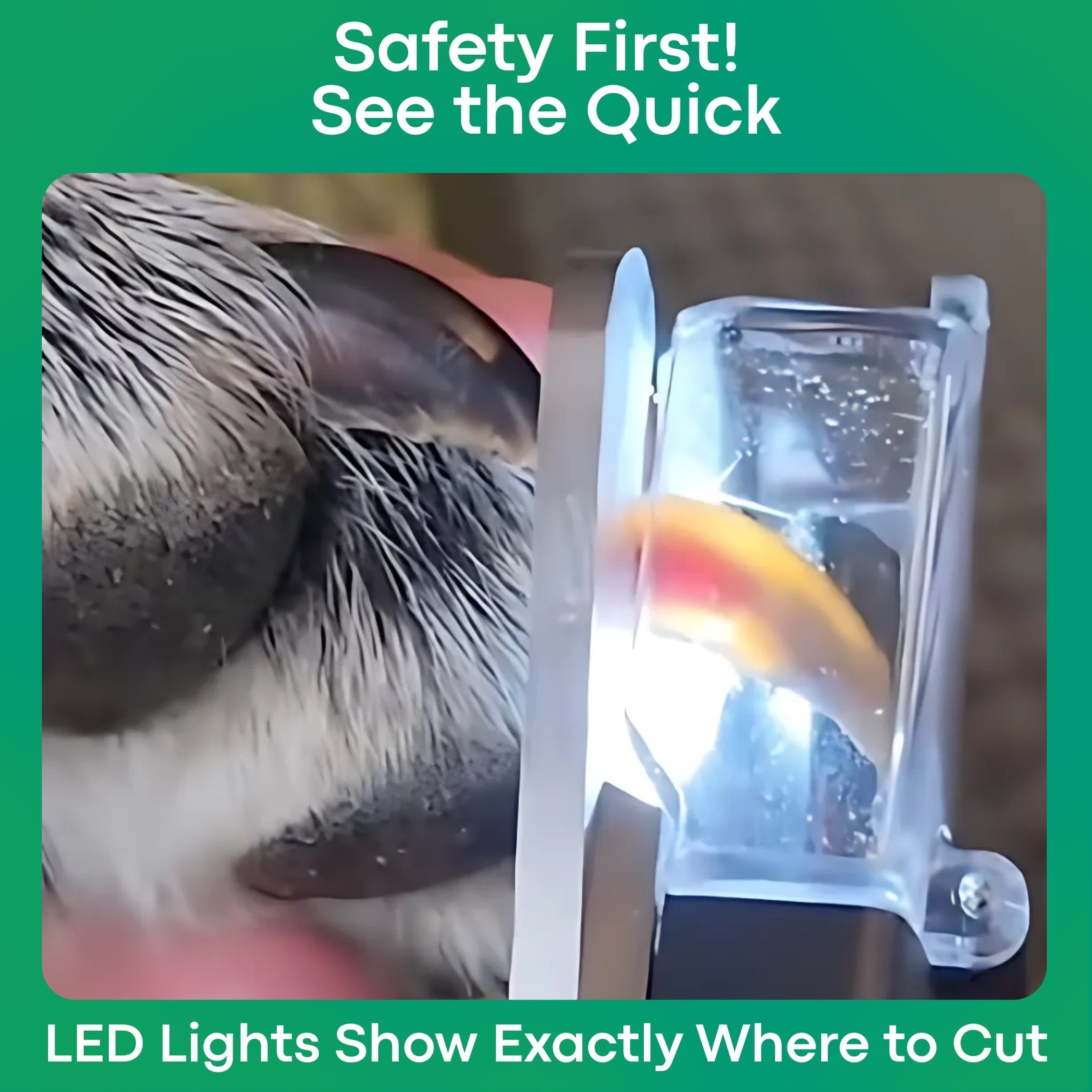 LumaClip - LED Pet Nail Clipper with Safety Guard