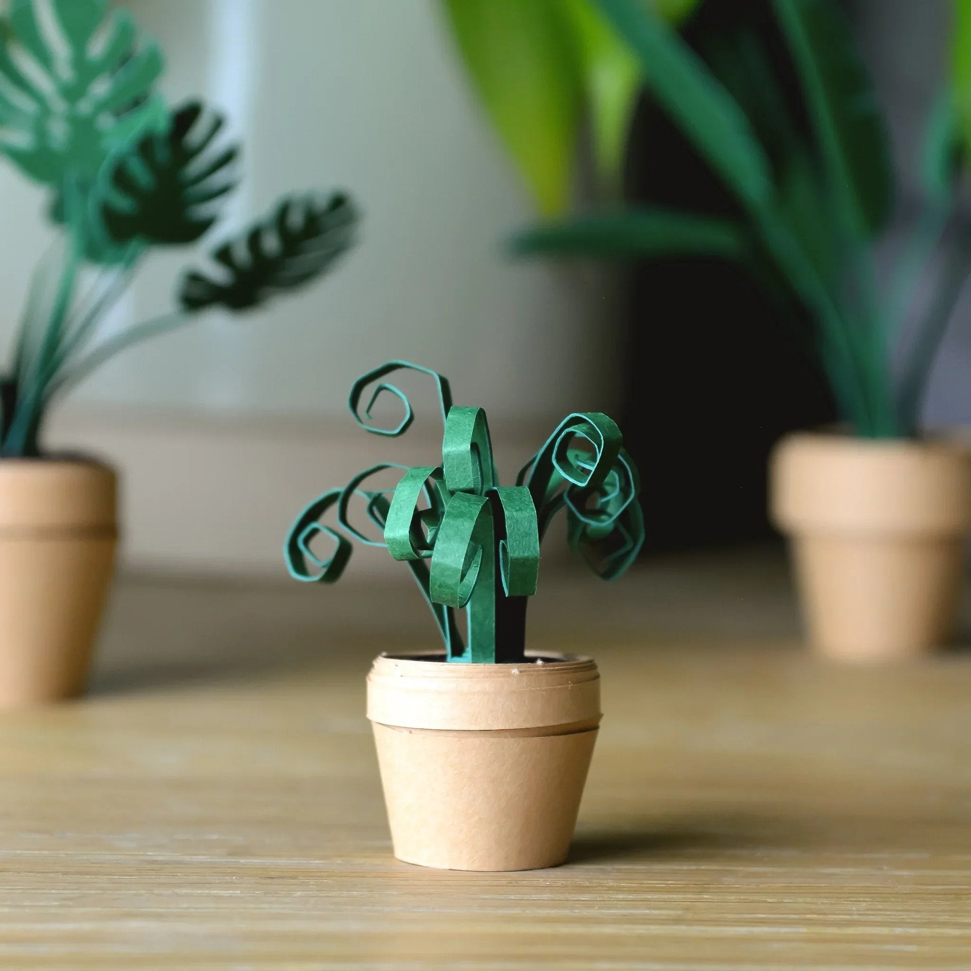 PaperPaws – Raj dla miłośników kotów i majsterkowania DIY