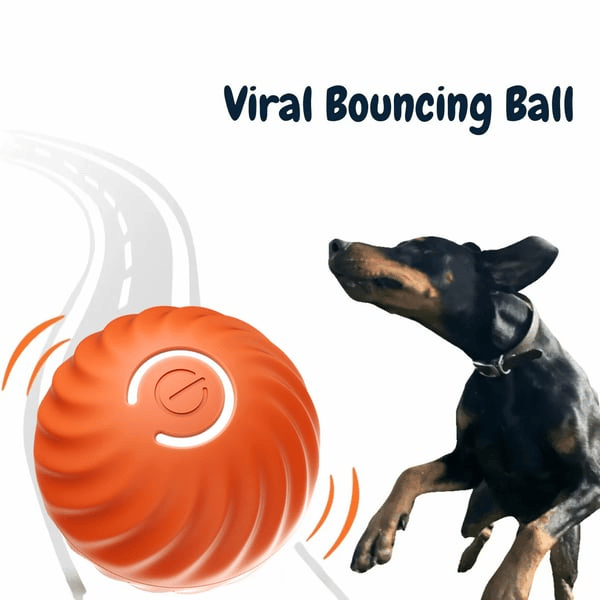 BarkBounce - Interactive Dog Teasing Ball