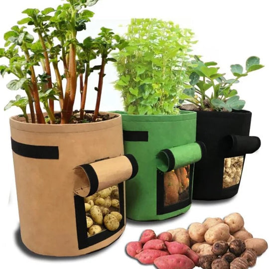 GrowForce — Fabric Grow Bags for Plants
