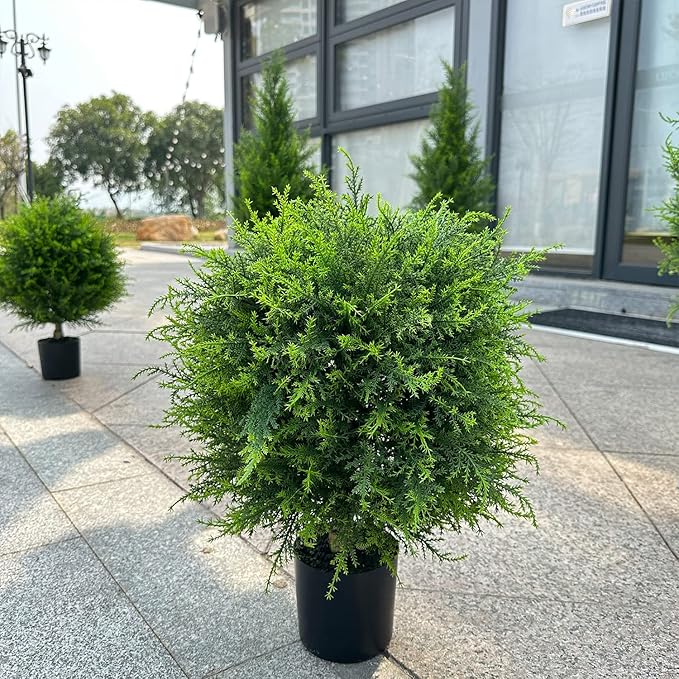 EverGreen Cedar Tree – Outdoor Decorative Potted Plant