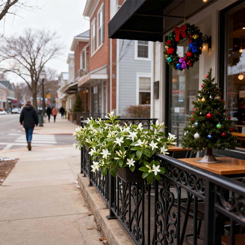 Nocne perfumy z nasion jaśminu