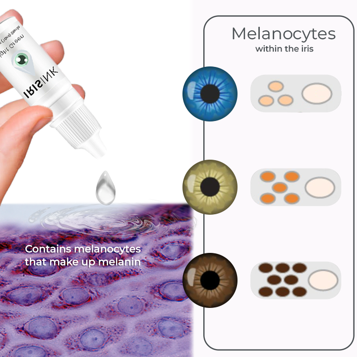 EyeKolor - Iris Enhancing Eye Drops – Vibrant Eye Look