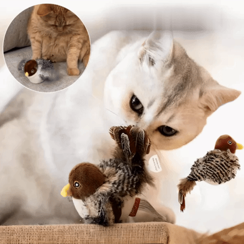 Feline Hunt - Interactive Plush Cat Toy with Feather Details