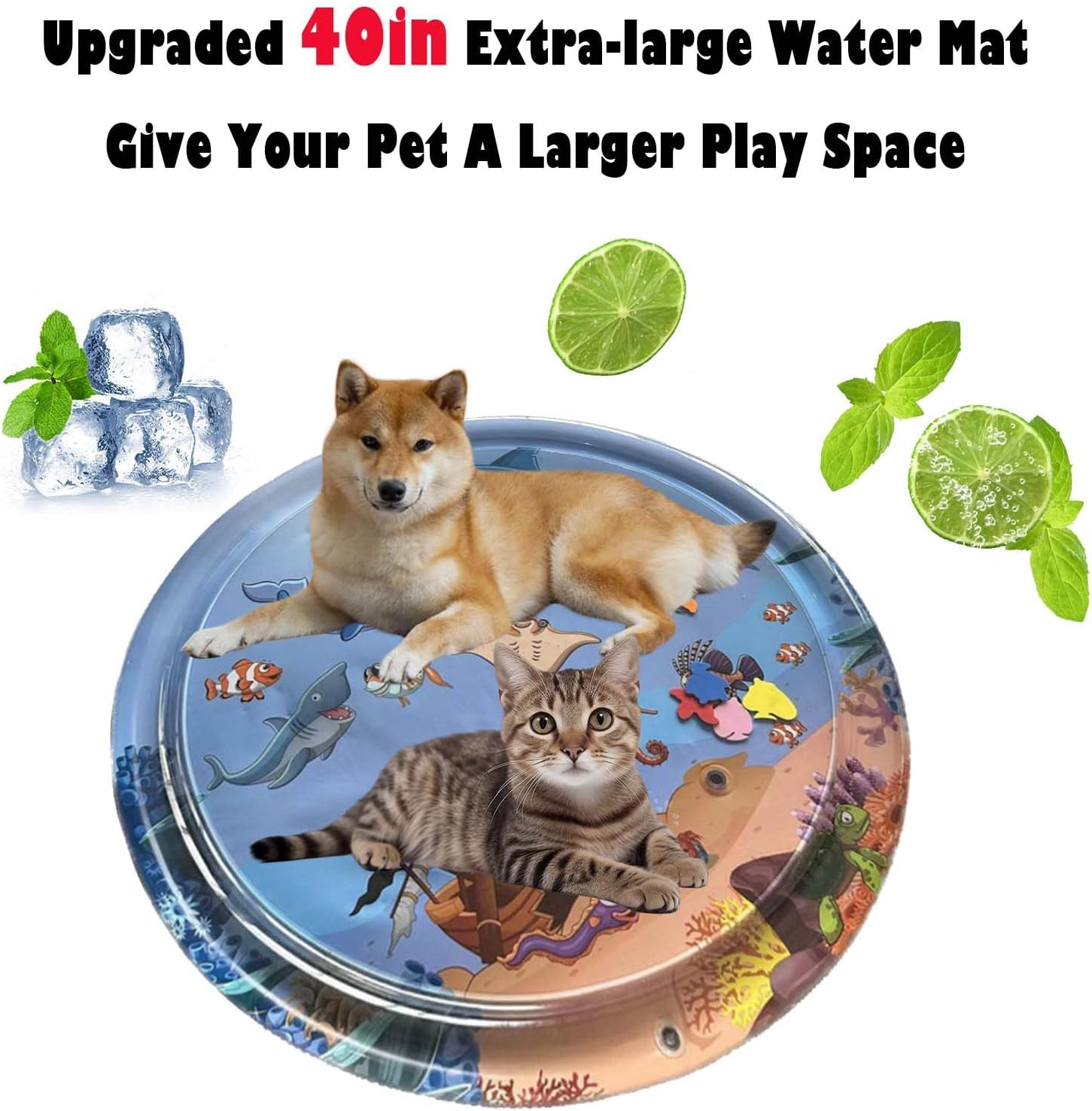AquaWhisk — Water Play Mat for Cats – Interactive Splash Toy