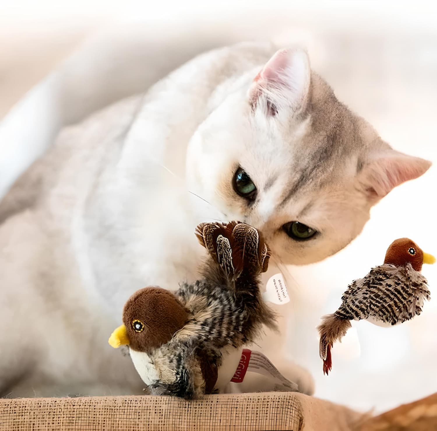 Feline Hunt - Interactive Plush Cat Toy with Feather Details