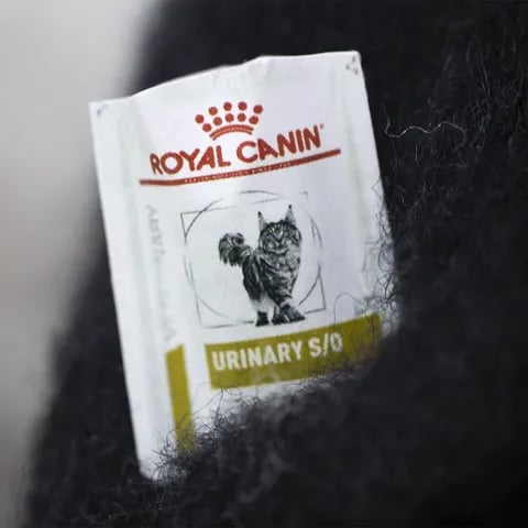 Gyapjúfilc állatfigurák – egyedi, kézzel készített kis társak