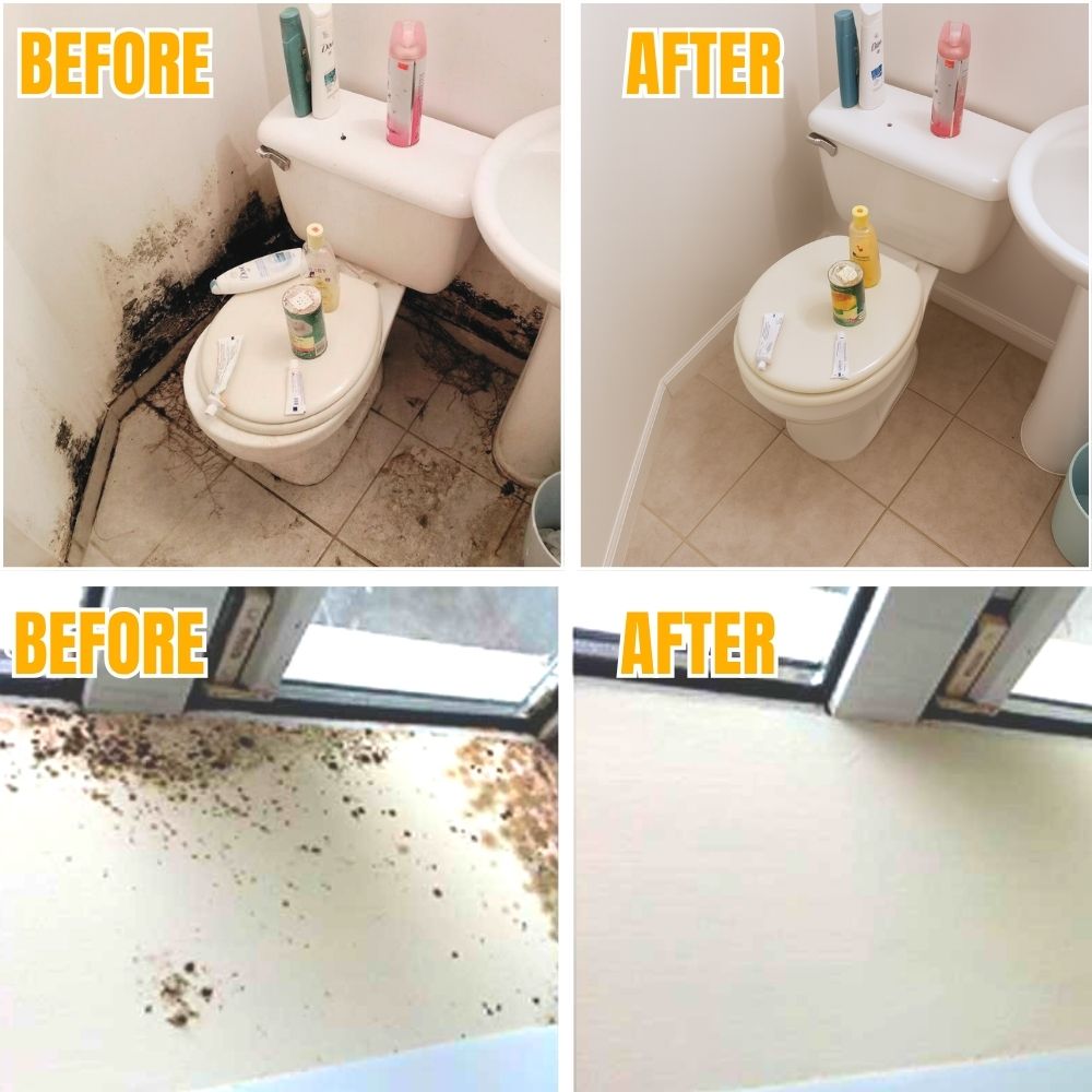 MoldDefy — Spray Removedor de Moho para Azulejos y Superficies de Baño